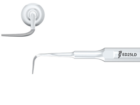 Woodpecker ED25LD Endodontics