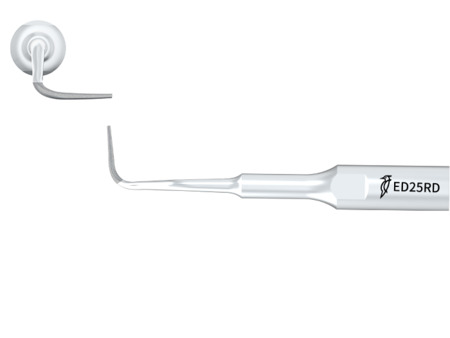 Woodpecker ED25RD Endodontics