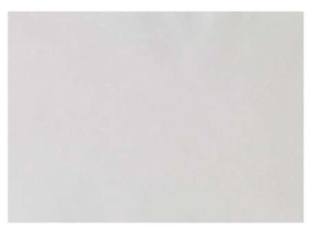 EURONDA Monoart Papírové podložky na tácy 250ks 280x180mm, bílé (205002)