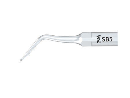 Woodpecker SB5 Cavity preparation